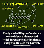 God's Playbook