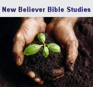 New Believers Bible Study